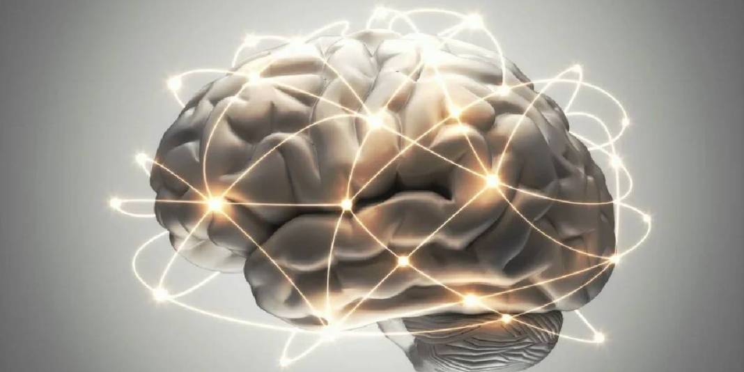 Ne balık ne ceviz! Beyin sağlığı için bilim insanları bunu öneriyor: Bir çay kaşığı bile yemek yeterli 7